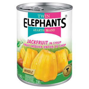 Twin Elephants Jackfruit in Syrup 565g