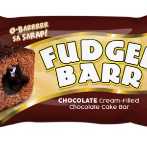 Fudgee Barr Chocolate 10x42g