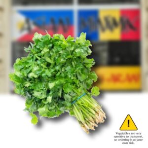 DHANIYA (CORIANDER FRESH) VEG 1BUC